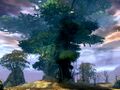 Thumbnail for version as of 19:39, 26 May 2013