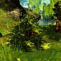Thumbnail for version as of 05:10, 6 March 2013