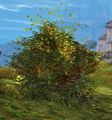 Thumbnail for version as of 13:03, 12 April 2014