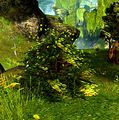 Thumbnail for version as of 13:04, 12 April 2014