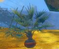 Thumbnail for version as of 17:27, 7 May 2016