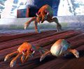 Thumbnail for version as of 13:21, 25 September 2014