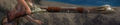 Thumbnail for version as of 06:36, 23 April 2014