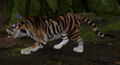 Thumbnail for version as of 17:44, 26 May 2016