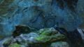 Thumbnail for version as of 00:01, 24 January 2015