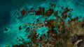 Thumbnail for version as of 03:57, 22 March 2022