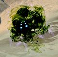 Thumbnail for version as of 21:29, 15 January 2013