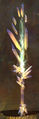 Thumbnail for version as of 00:25, 10 July 2013