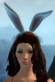 Thumbnail for version as of 11:51, 11 December 2013