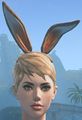 Thumbnail for version as of 13:41, 24 March 2016