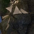 Thumbnail for version as of 19:03, 2 August 2022