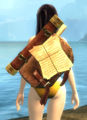 Thumbnail for version as of 19:34, 21 May 2016