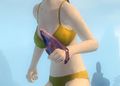 Thumbnail for version as of 09:27, 2 December 2012