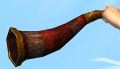 Thumbnail for version as of 19:49, 19 January 2020