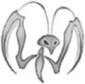 Thumbnail for version as of 16:00, 11 February 2010