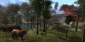 Thumbnail for version as of 00:07, 7 October 2020