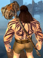 Thumbnail for version as of 04:34, 24 November 2012