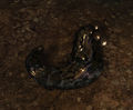 Thumbnail for version as of 18:07, 2 October 2012