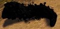 Thumbnail for version as of 19:13, 18 September 2020