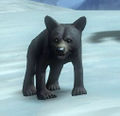 Thumbnail for version as of 23:09, 21 May 2013