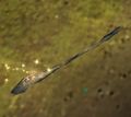 Thumbnail for version as of 21:08, 1 September 2016