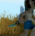 Thumbnail for version as of 14:02, 22 October 2012
