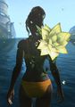 Thumbnail for version as of 19:07, 3 December 2015