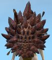 Thumbnail for version as of 15:59, 30 March 2017