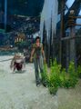 Thumbnail for version as of 14:29, 31 October 2025