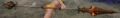 Thumbnail for version as of 19:29, 8 September 2014