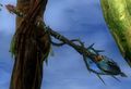 Thumbnail for version as of 04:57, 22 November 2012