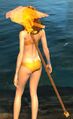 Thumbnail for version as of 21:02, 30 May 2016