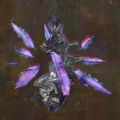 Thumbnail for version as of 07:31, 10 September 2014