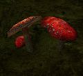 Thumbnail for version as of 20:49, 13 May 2017