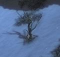Thumbnail for version as of 15:22, 22 November 2016