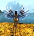 Thumbnail for version as of 13:42, 13 November 2016