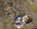 Thumbnail for version as of 21:14, 5 April 2014