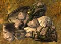 Thumbnail for version as of 19:00, 14 November 2024