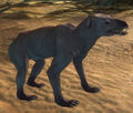 Thumbnail for version as of 23:51, 10 January 2013