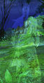 Thumbnail for version as of 21:51, 27 March 2014