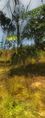 Thumbnail for version as of 03:24, 9 August 2020