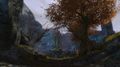 Thumbnail for version as of 06:45, 10 December 2016