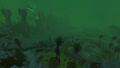 Thumbnail for version as of 14:11, 22 September 2020