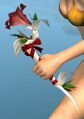 Thumbnail for version as of 17:49, 19 January 2020