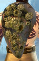 Thumbnail for version as of 10:16, 6 December 2012