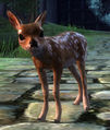 Thumbnail for version as of 13:31, 13 March 2014