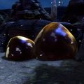 Thumbnail for version as of 16:04, 12 August 2017
