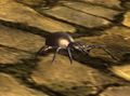 Thumbnail for version as of 12:52, 13 March 2014