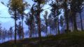Thumbnail for version as of 19:40, 21 April 2016