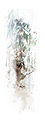 Thumbnail for version as of 19:33, 11 February 2012